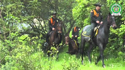 Dirección de Carabineros y Seguridad Rural DICAR policiadecolombia