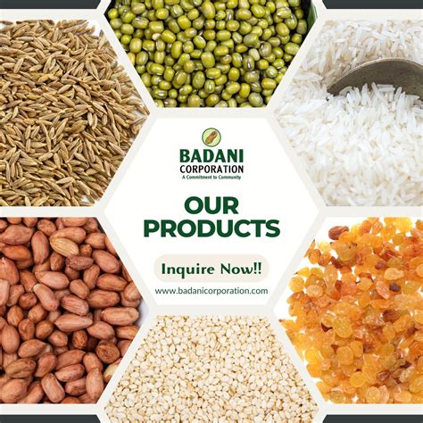 badani coporation  linkedin badanicorporation timelesstaste