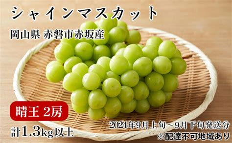 【楽天市場】【ふるさと納税】ぶどう 2025年 先行予約 シャイン マスカット 晴王 2房 合計13kg以上 2025年9月上旬～9月下旬発