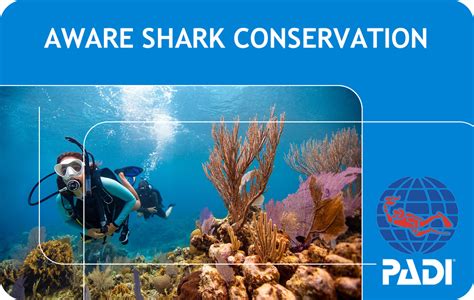 PADI AWARE Shark Conservation Bali Bali Dive Resort Pebble Fins