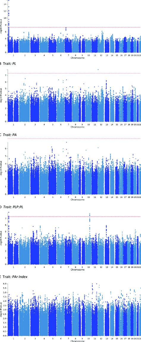 Manhattan Plots For Each Genome Wide Association Analysis Of The Five