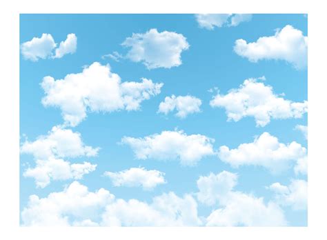 Amazon.com : Allenjoy 8x6ft Blue Sky White Cloud Backdrop for Newborn ...