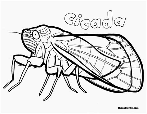 Cicada Coloring Page