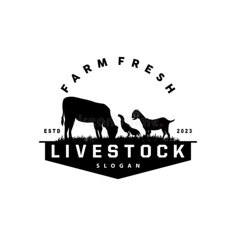 Livestock Logo Fram Garden Design Cow Logo Vector Badge Longhorn Bull