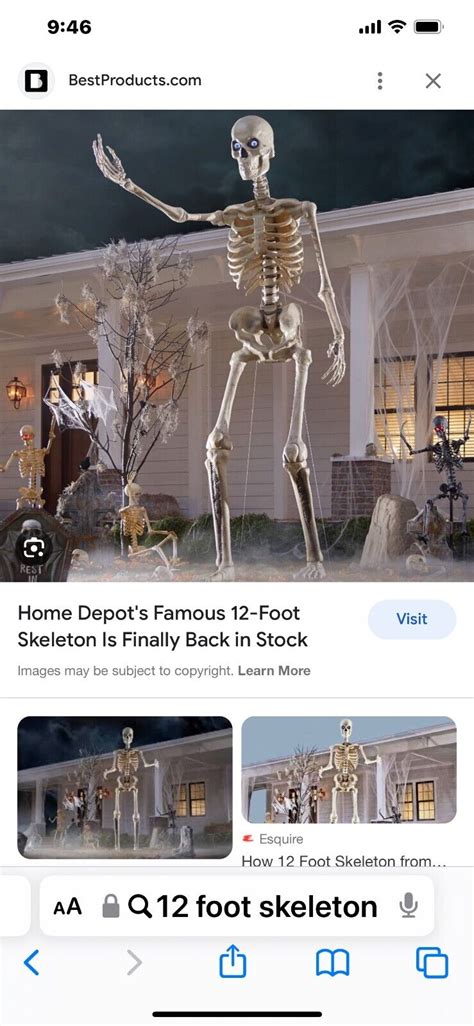 12 FT Foot Giant Skeleton With Animated LCD Eyes Halloween Home Depot