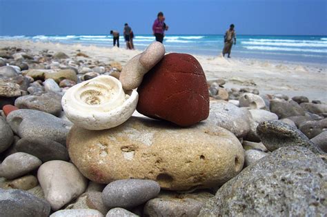 Strange Socotra - Facts For Kids, People & Places - Kinooze