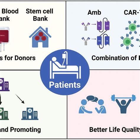 The Future Of Allo Hsct Allo Hsct Allogenic Hematopoietic Stem Cell Download Scientific