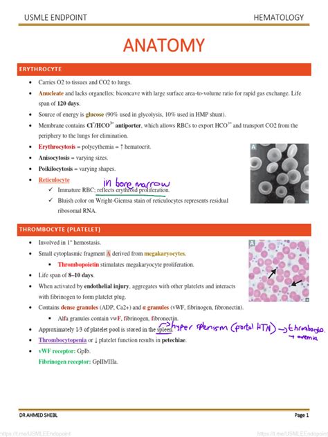 12 - Hematology + Oncology - 2021 Edition | PDF | Coagulation | Platelet
