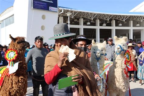 Abi Productores De Cam Lidos Se Benefician Con Incentivos Econ Micos