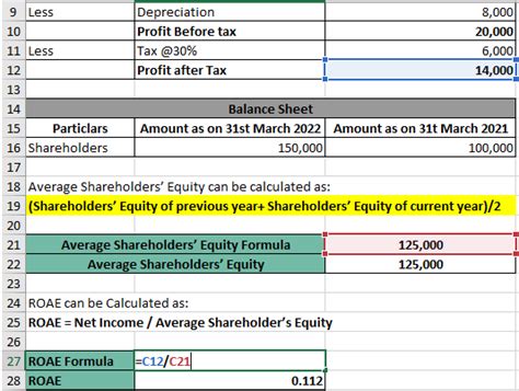 Return On Average Equity Formula Calculator Excel Template