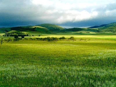 grassland biomes
