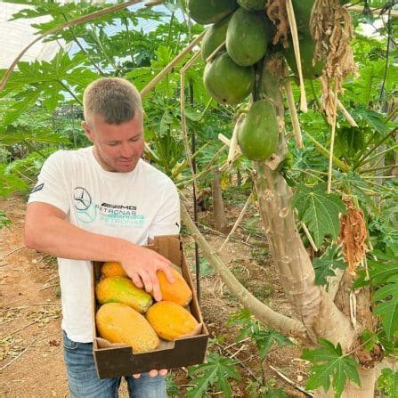 Bio Karotten Bunt Online Bestellen Tr Benecker De Liefert Dir Bio Gem Se