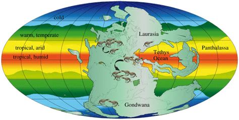 Hyperthermal Driven Mass Extinctions Killing Models During The Permian