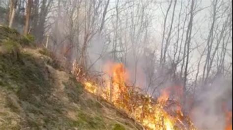 Un Grosso Incendio Scoppiato Nei Boschi Tra Griante E La Tremezzina