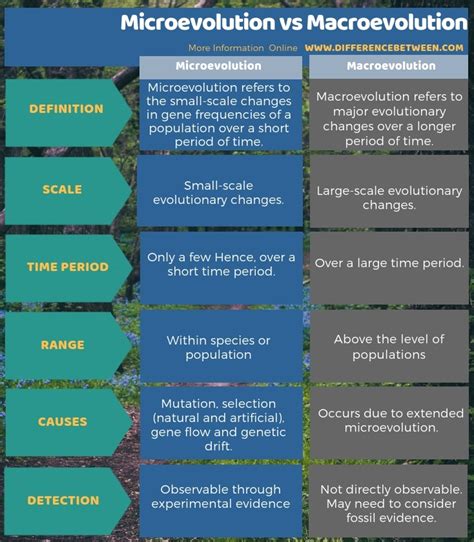 Difference Between Microevolution And Macroevolution Compare The Difference Between Similar Terms