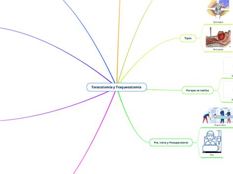 Toracotomía y Traqueostomía Mind Map