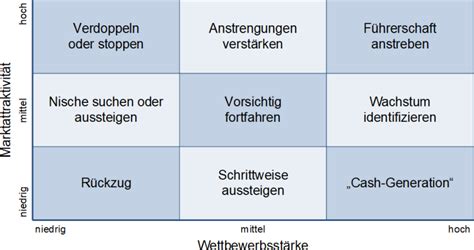 Das McKinsey Portfolio Peterjohann Consulting