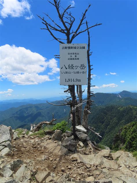 弥山・八経ヶ岳・明星ヶ岳 オオヤマレンゲに逢いたくて近畿の最高峰へ もっさんさんの八経ヶ岳の活動データ Yamap ヤマップ