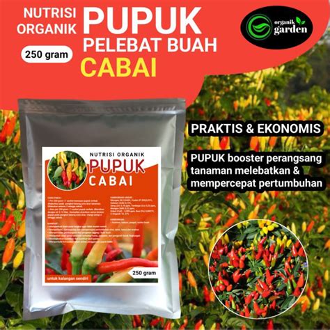 Jual Pupuk Pelebat Buah CABAI Booster Melebatkan Secara Masimal