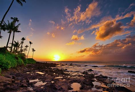 Napili Bay Maui At Sunset Photograph by Michele Hancock Photography - Fine Art America