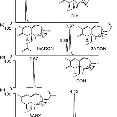 Lc Msms Chromatograms Of Standard Mix Containing A 4aniv B Niv Download Scientific