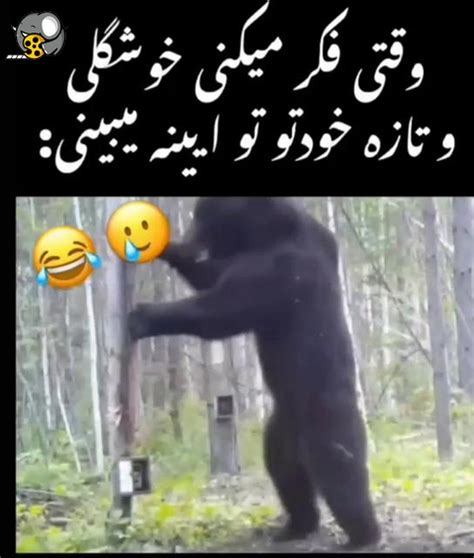 خنده ، کی از همه قشنگ تره😂 فیلو