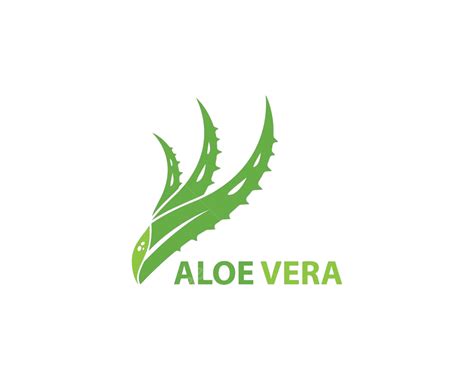 Aloe Vera Logo Vector Silhouette Herbal Style Vector Silhouette