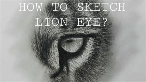 Lion Eyes Drawing 10+ Thousand Lion Eye Vector Royalty Free Images,
