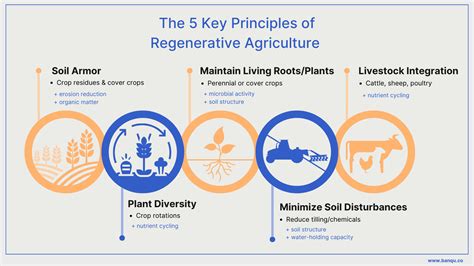 Regenerative Agriculture What It Is The Business Benefits