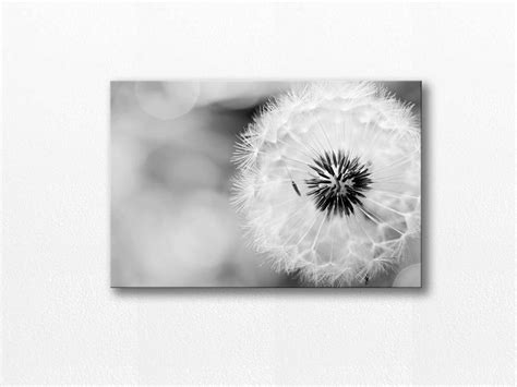 dandelion canvas art dandelion wall art   fine art