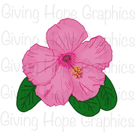 Pink Hibiscus Flower Clipart