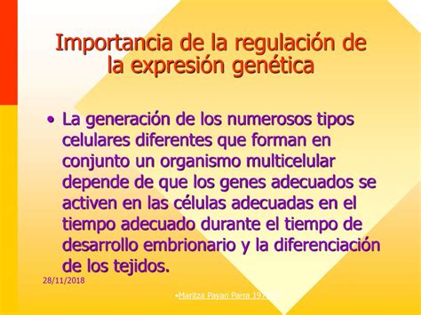 REGULACION DE LA EXPRESION GENETICA Tema Ppt Descargar