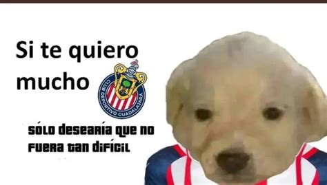 Los Memes Del Triunfo De Chivas Contra América Por La Semifinal Del