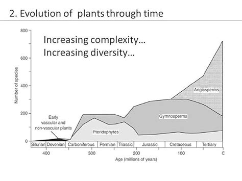 The Evolution of Plants by Kathy Willis | Goodreads