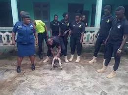 Man Arrested For Allegedly Having Sex With Goat