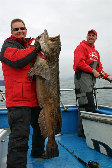 Alaska Lingcod Fishing Charters Rock Fish Ling Cod Combo Trips