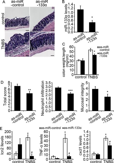 Intracolonic Administration Of As Mir 133α Attenuated Trinitrobenzene