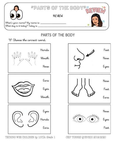 Body Worksheet For 1º Live Worksheets