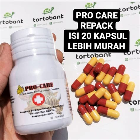 Jual PROCARE ISI 20 KAPSUL OBAT PILEK KURA OBAT KURA OBAT