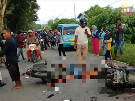 Adu Banteng Pengendara Motor Tewas Mengenaskan Di Maluku Utara