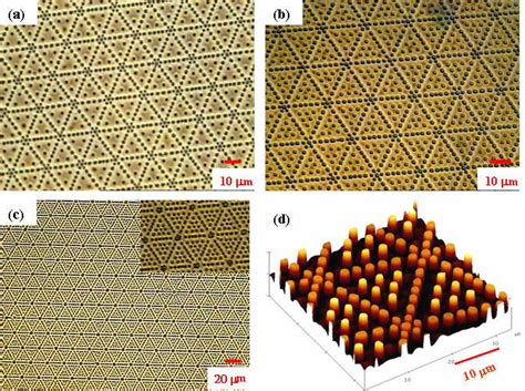 Optical Micrographs A B C And AFM Image D Of The Polymer