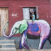 Elephant Graffiti Art In South Africa To Give People Hope