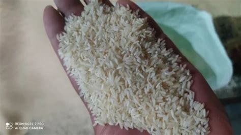 White Kisan Long Grain Rice Kg Bag At Rs Bag In Warangal Id