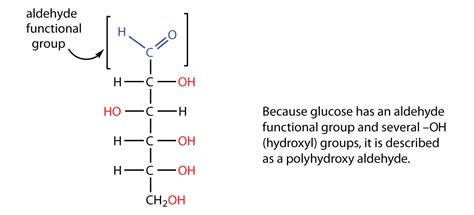 Carbohydrates