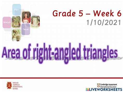 Maths area of a right angled triangle worksheet | Live Worksheets