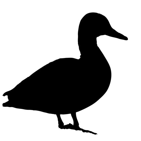Duck Black Silhouette Free Stock Photo - Public Domain Pictures