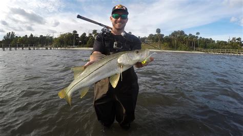 Snook Season Reopens in Gulf Waters March 1st - Florida Sportsman