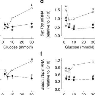 Effects Of Cycloheximide On Glucose Induced Changes In Total Protein