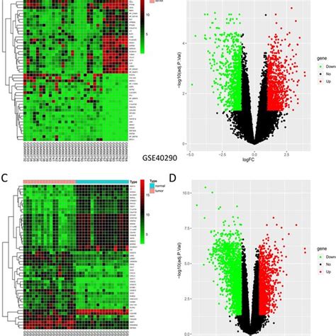 DEGs Of GSE40290 And GSE53819 Heatmap Of The Top 50 DEGs A