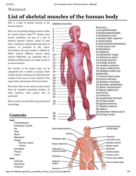 List Of Skeletal Muscles Of The Human Body Wikipedia, 40% OFF